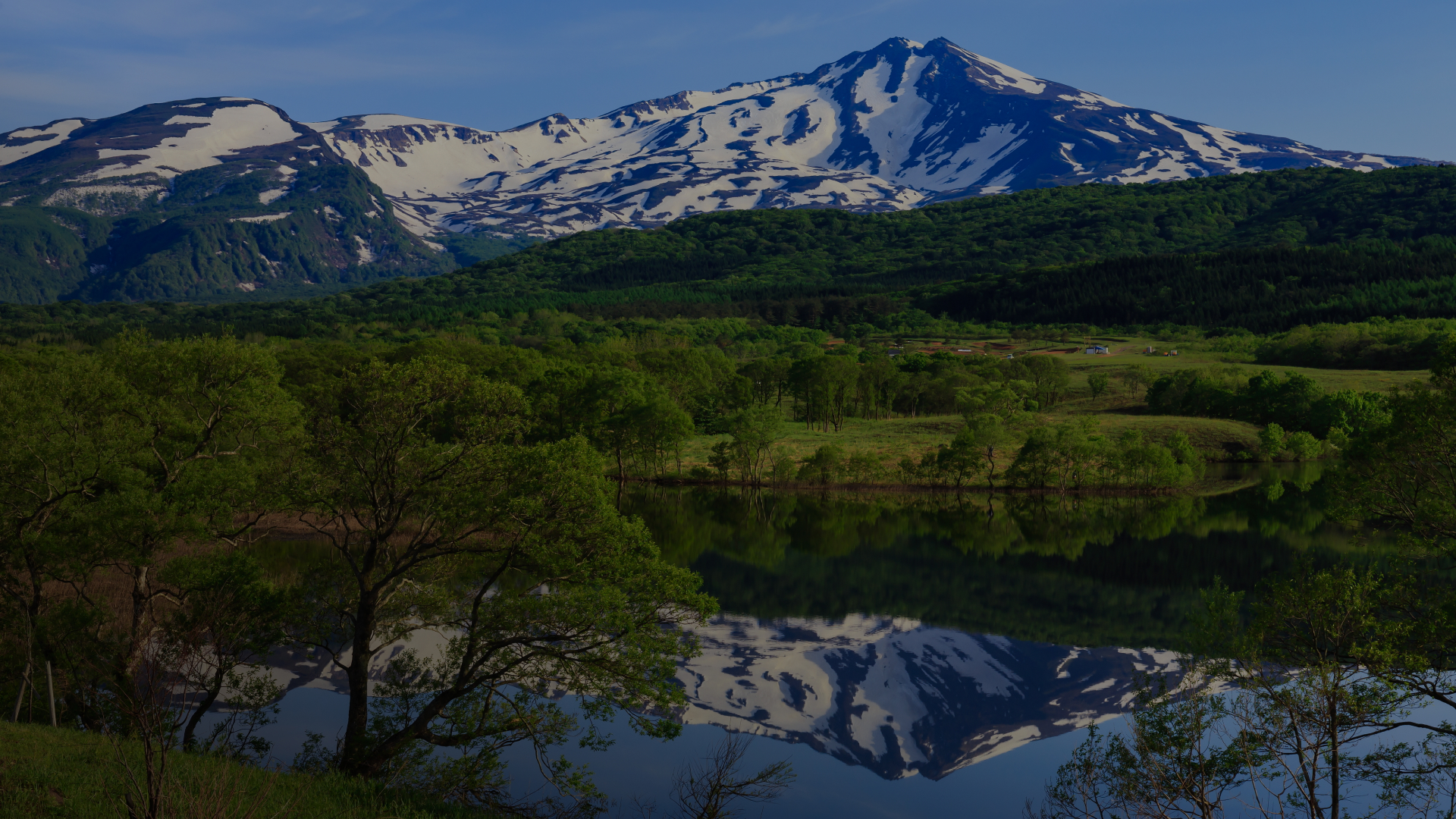 高品質な塗装で住まいをリフレッシュ