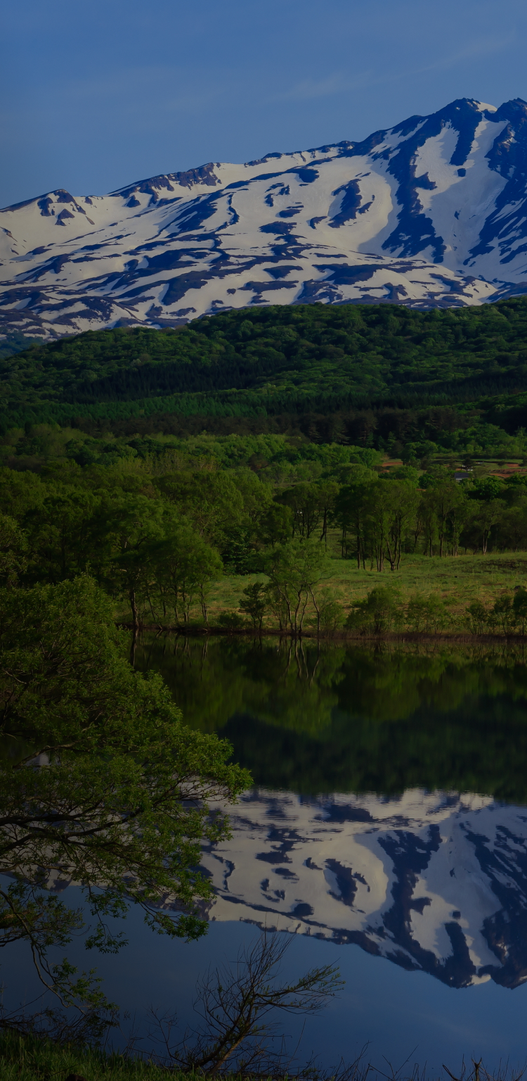 高品質な塗装で住まいをリフレッシュ