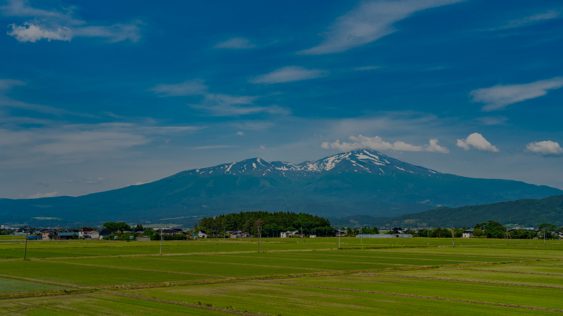 高品質な塗装で住まいをリフレッシュ